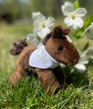 Load image into Gallery viewer, Stuffed horse w/bandana(dark brown)
