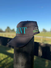 Load image into Gallery viewer, Brant hat

