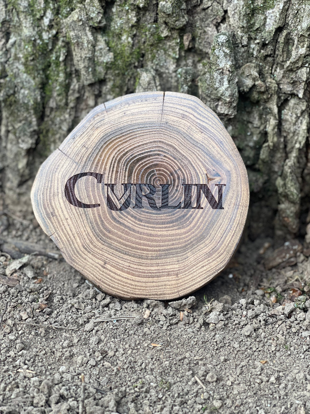 Curlin - Coaster