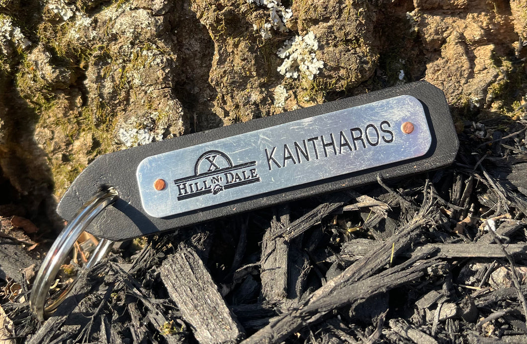 Kantharos keychain