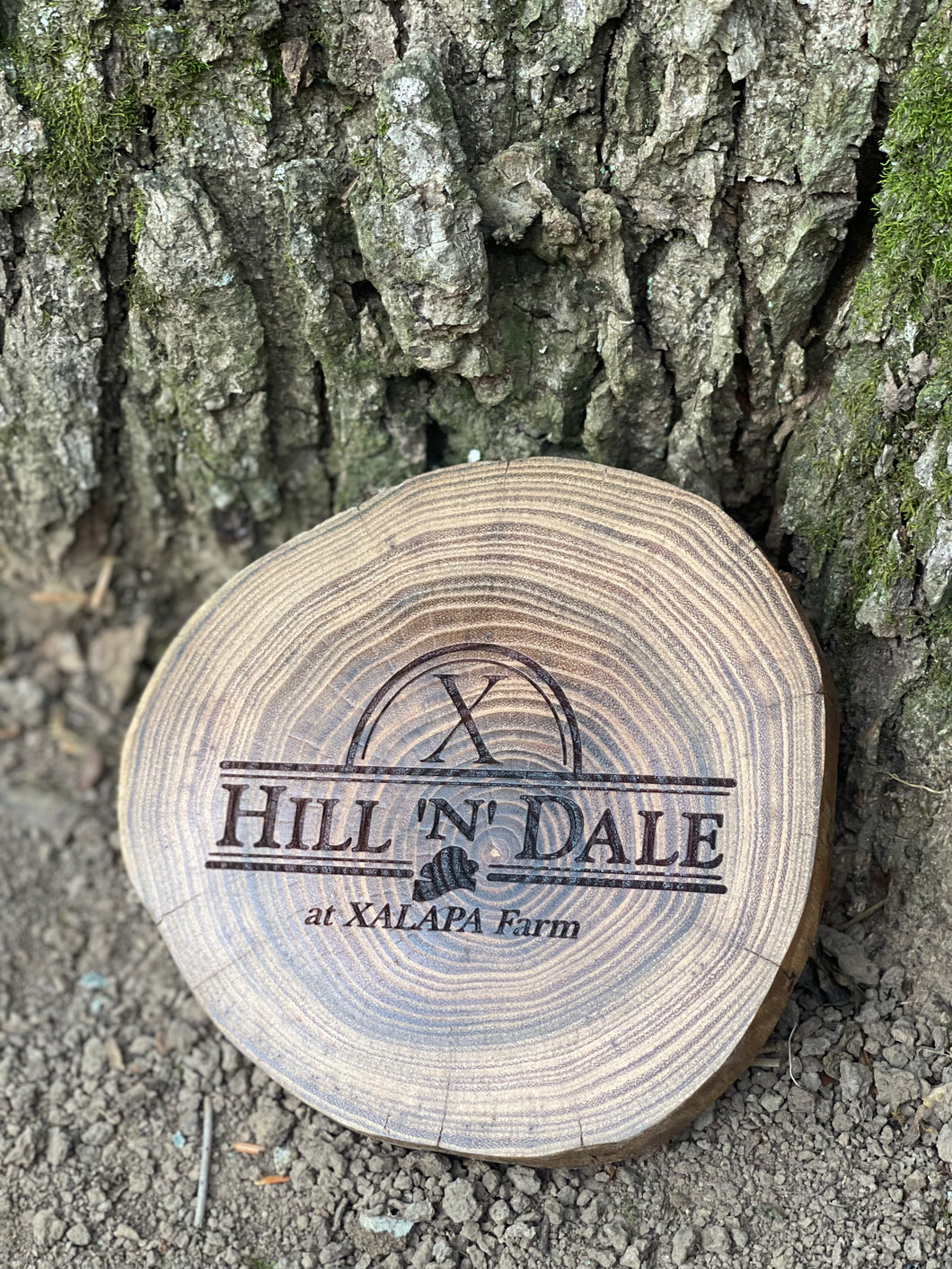 Hill ‘n’ Dale Coaster