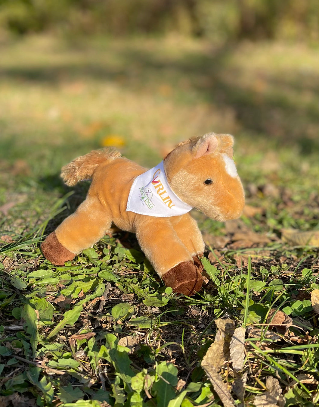 Stuffed horse - Curlin