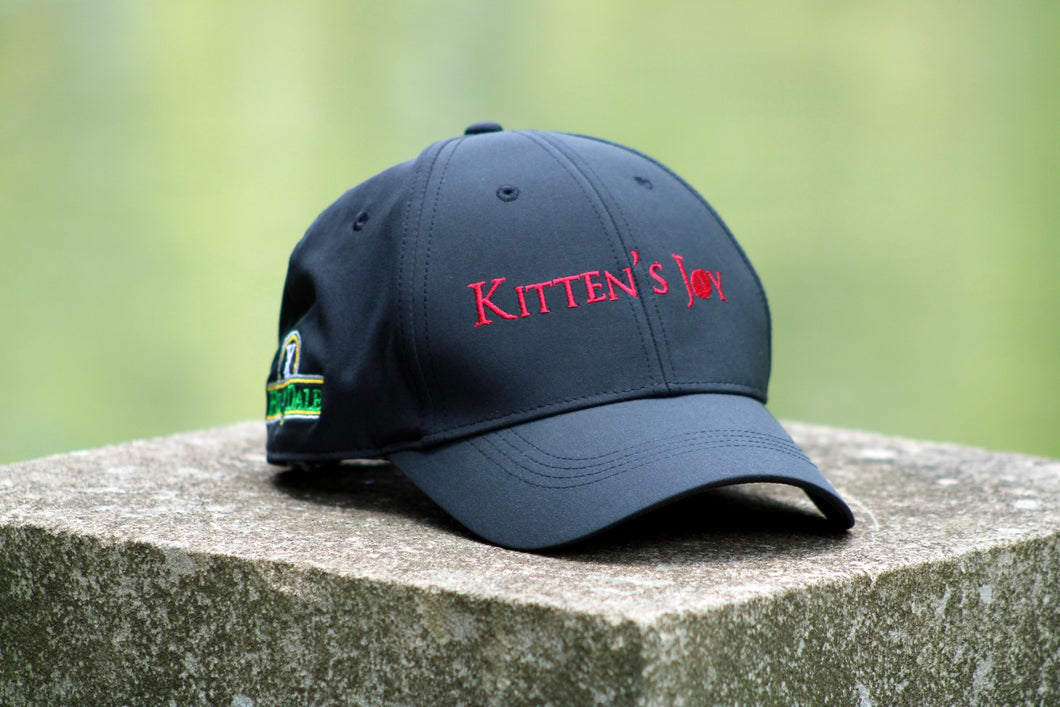 Kitten's Joy Hat